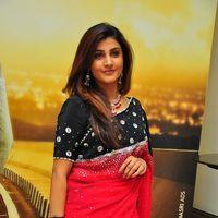 Kausha hot in red saree - Pictures | Picture 108336